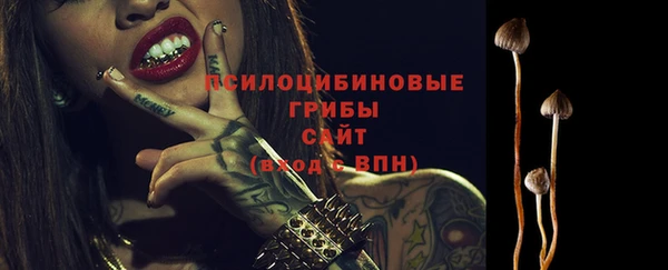 герыч Вязьма